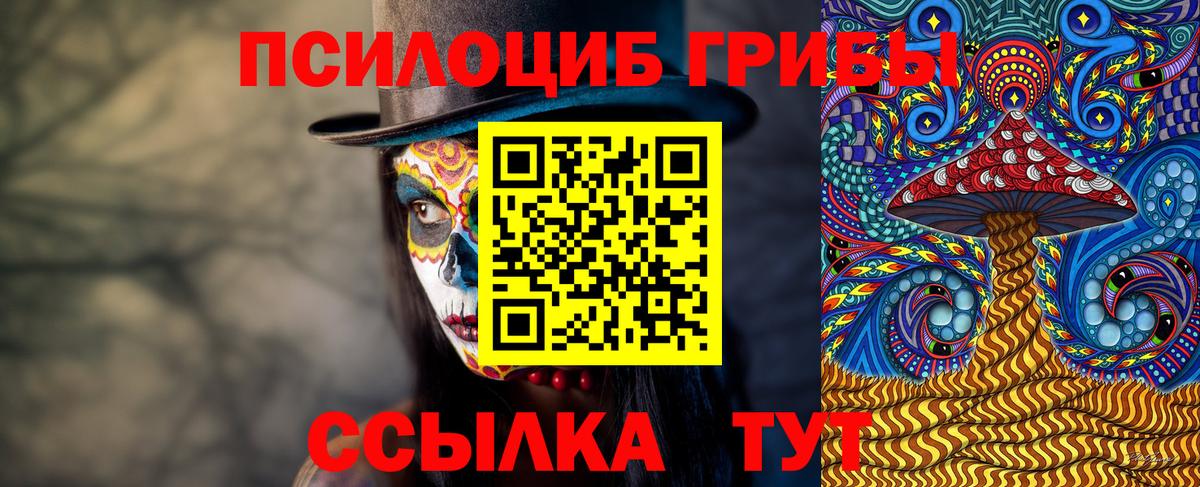 Псилоцибиновые грибы прущие грибы Чайковский